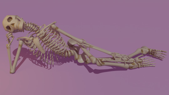 A skeleton.